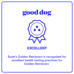 Good Dog excellent health testing award.